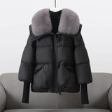 Oslo - Short Padded Hooded Coat